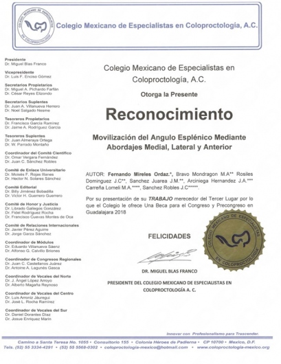 Fernando Mireles Ordaz-4
