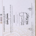 Ampliar imagen: certificate 17