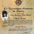Ampliar imagen: certificate 8