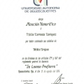 Ampliar imagen: certificate 15