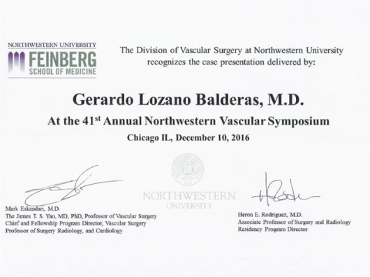 Gerardo Lozano Balderas-4