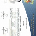 Ampliar imagen: certificate 10