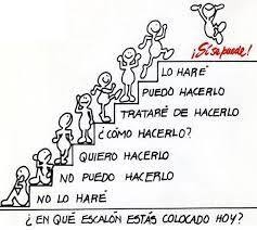 Dalia Angélica Villarreal Rodríguez-5