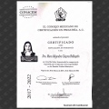 Ampliar imagen: certificate 2