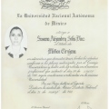 Ampliar imagen: certificate 1