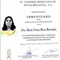 Ampliar imagen: certificate 1