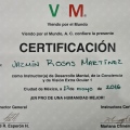 Ampliar imagen: certificate 14