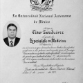 Ampliar imagen: certificate 6