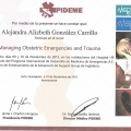 Ampliar imagen: certificate 31