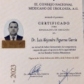 Ampliar imagen: certificate 2