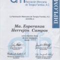 Ampliar imagen: certificate 3
