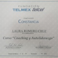 Ampliar imagen: certificate 8