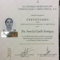 Ampliar imagen: certificate 2