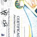 Ampliar imagen: certificate 6