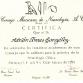 Ampliar imagen: certificate 2