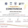 Ampliar imagen: certificate 5