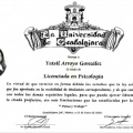 Ampliar imagen: certificate 10