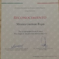 Ampliar imagen: certificate 58