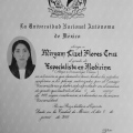 Ampliar imagen: certificate 3