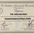 Ampliar imagen: certificate 11