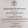 Ampliar imagen: certificate 3