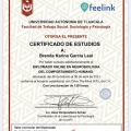 Ampliar imagen: certificate 13