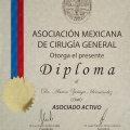 Ampliar imagen: certificate 8