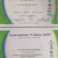 Ampliar imagen: certificate 9