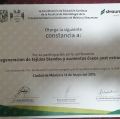 Ampliar imagen: certificate 6