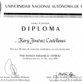 Ampliar imagen: certificate 11