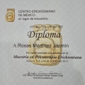 Ampliar imagen: certificate 4
