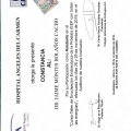 Ampliar imagen: certificate 13
