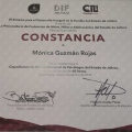 Ampliar imagen: certificate 28