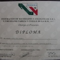 Ampliar imagen: certificate 32