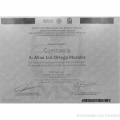 Ampliar imagen: certificate 10