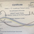 Ampliar imagen: certificate 17