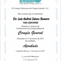 Ampliar imagen: certificate 19