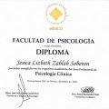 Ampliar imagen: certificate 5