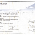 Ampliar imagen: certificate 6