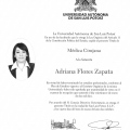 Ampliar imagen: certificate 4