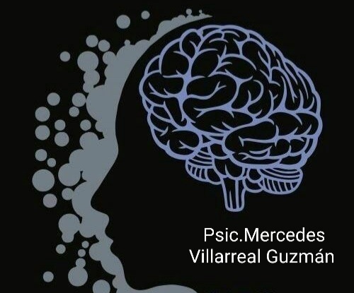 Mercedes Elena Villarreal Guzmán-5