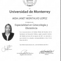 Ampliar imagen: certificate 2