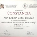 Ampliar imagen: certificate 2
