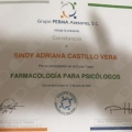 Ampliar imagen: certificate 8