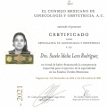 Ampliar imagen: certificate 1