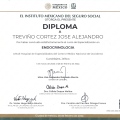 Ampliar imagen: certificate 3
