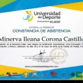 Ampliar imagen: certificate 7