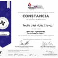 Ampliar imagen: certificate 27
