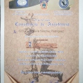 Ampliar imagen: certificate 24