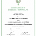 Ampliar imagen: certificate 6